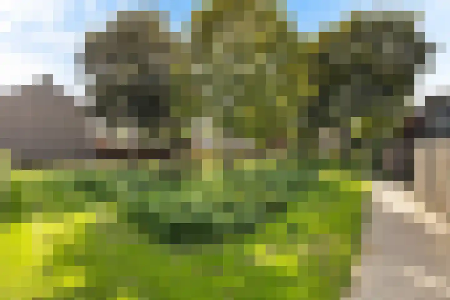 Prins Willem-Alexandersingel 37 Beesd thumbnail 43