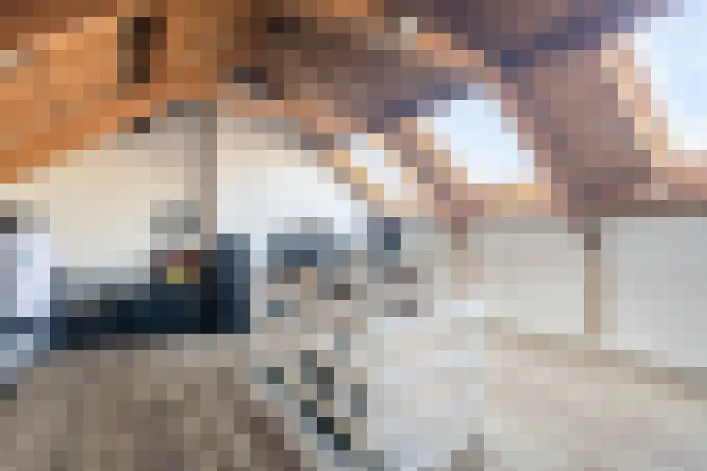 Prins Willem-Alexandersingel 37 Den Helder thumbnail 33