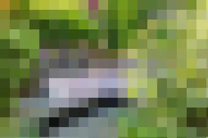 Prins Willem-Alexandersingel 41 Den Helder thumbnail 16