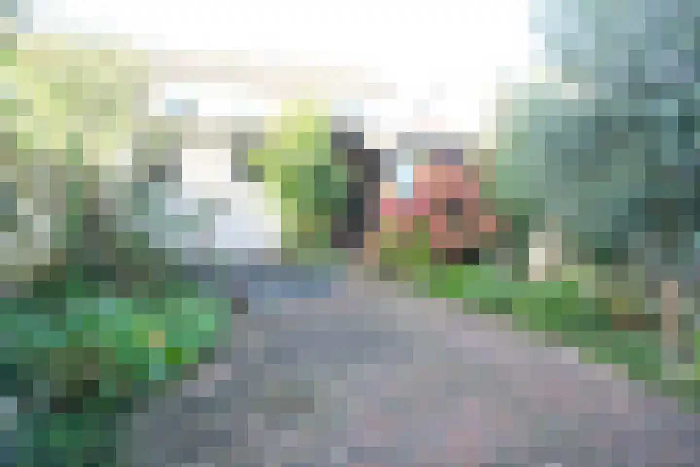 Prins Willem-Alexandersingel 5 Beesd thumbnail 14