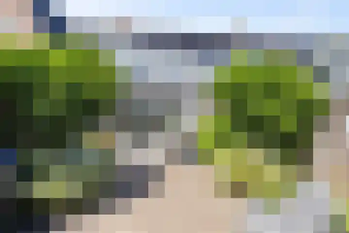 Prins Willem-Alexandersingel 69 Den Helder thumbnail 11