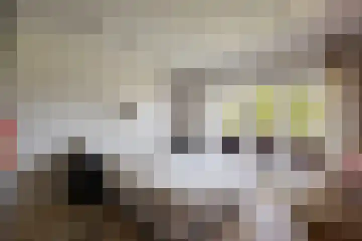 Prins Willem-Alexandersingel 69 Den Helder thumbnail 13