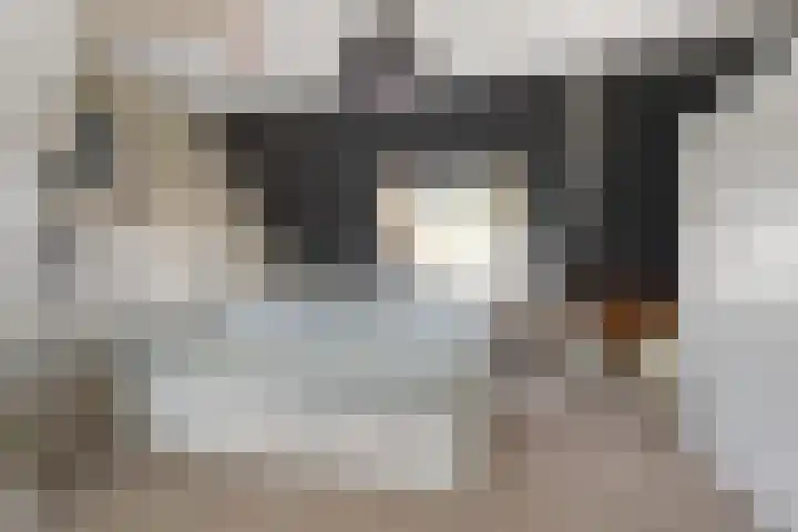 Prins Willem-Alexandersingel 69 Den Helder thumbnail 22