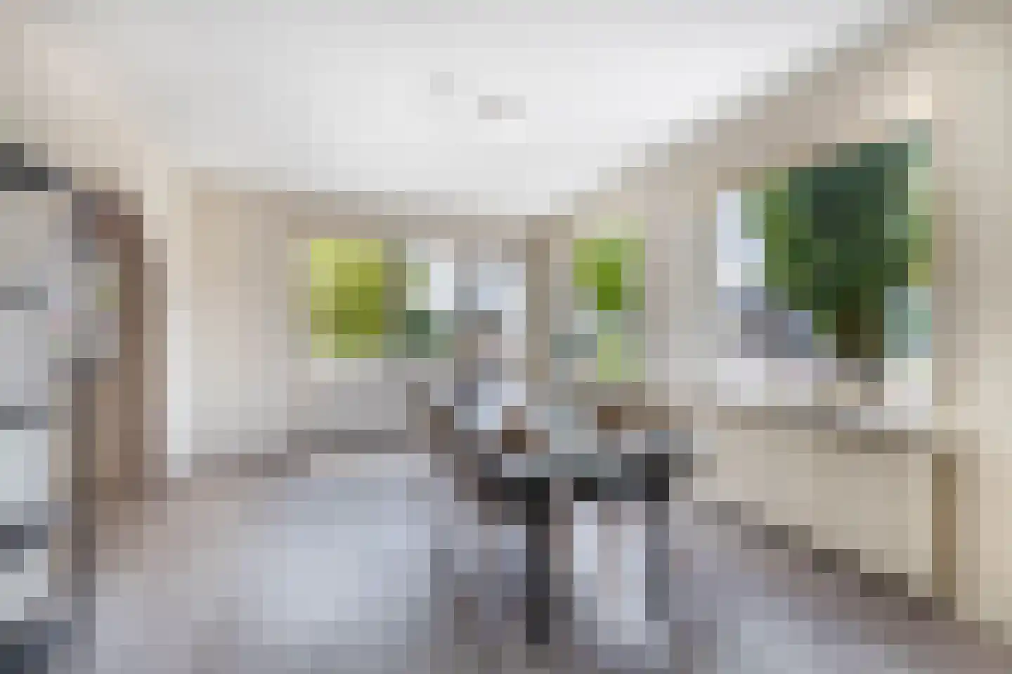 Prins Willem-Alexanderstraat 1 Pannerden thumbnail 10