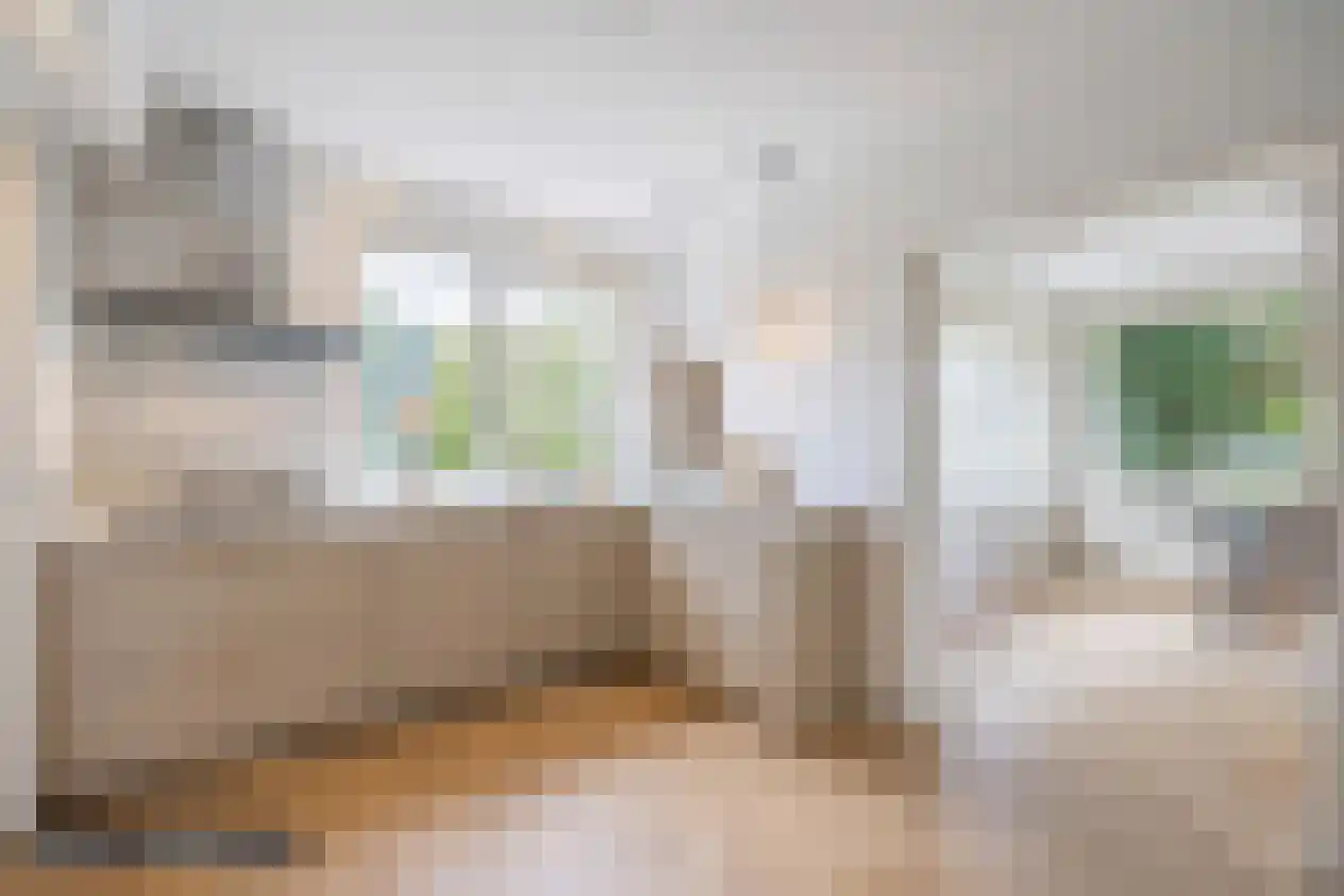 Prins Willem-Alexanderstraat 1 Pannerden thumbnail 12