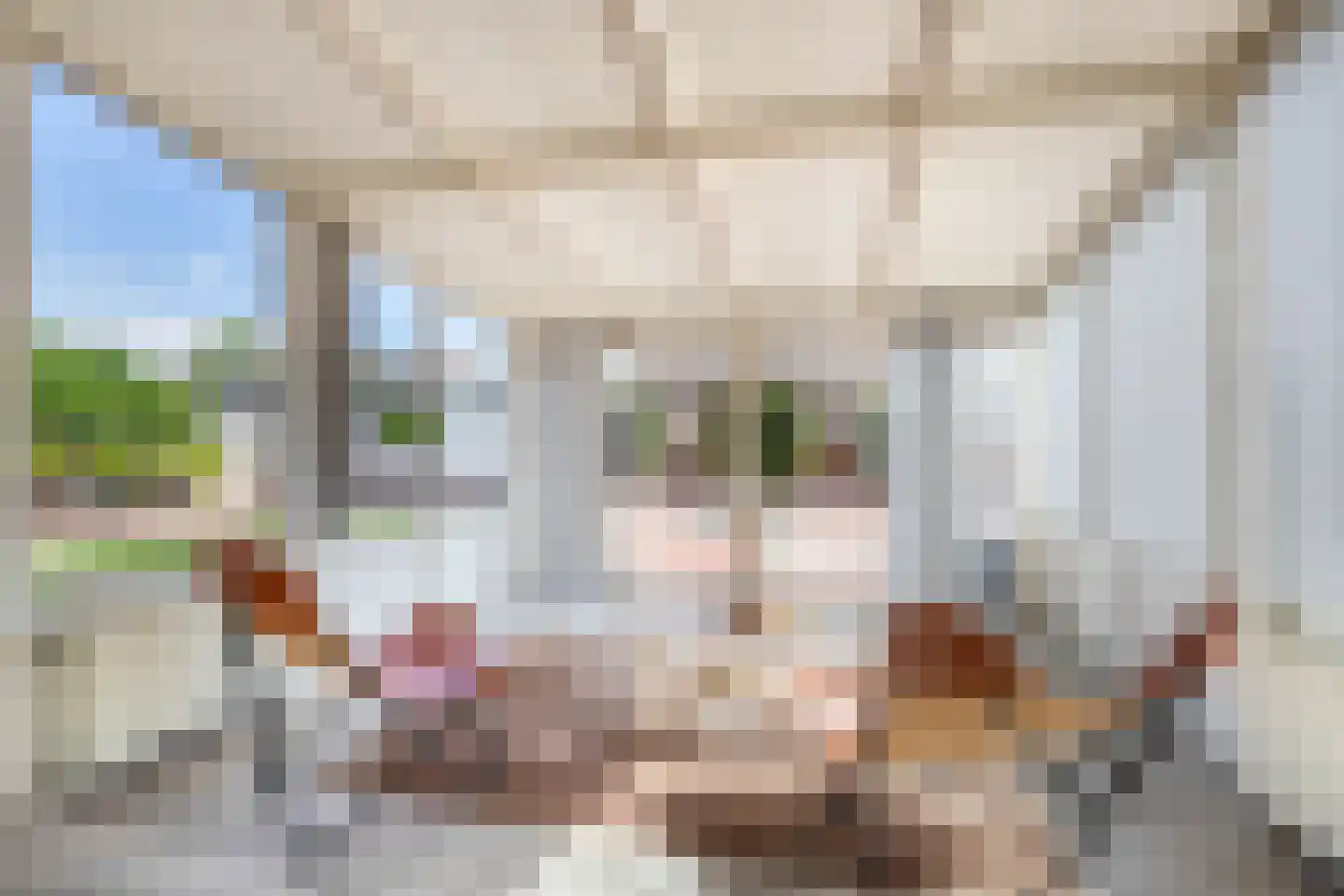 Prins Willem-Alexanderstraat 1 Pannerden thumbnail 16