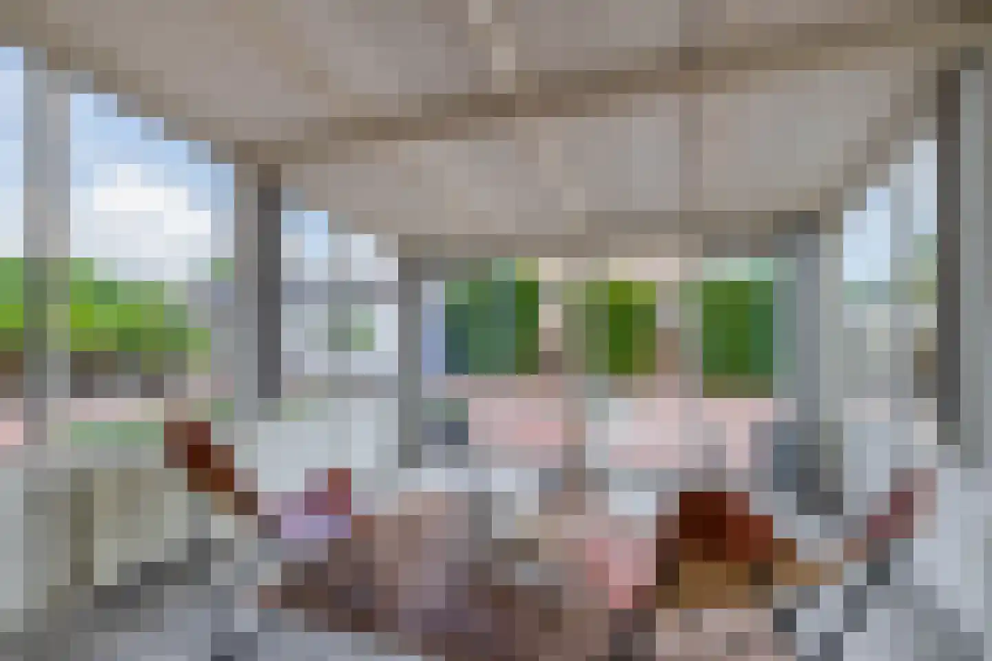 Prins Willem-Alexanderstraat 1 Pannerden thumbnail 22