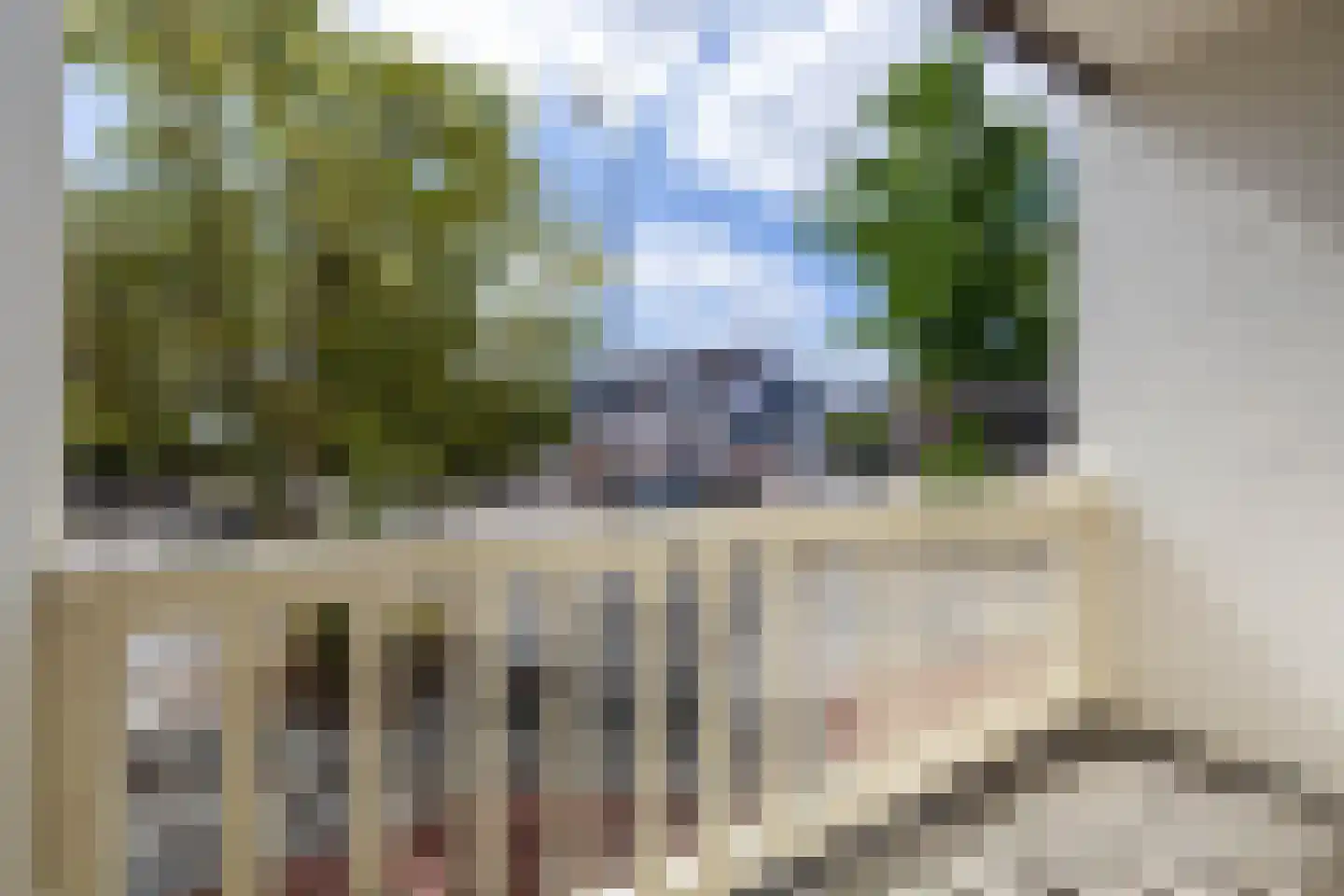 Prins Willem-Alexanderstraat 1 Pannerden thumbnail 23