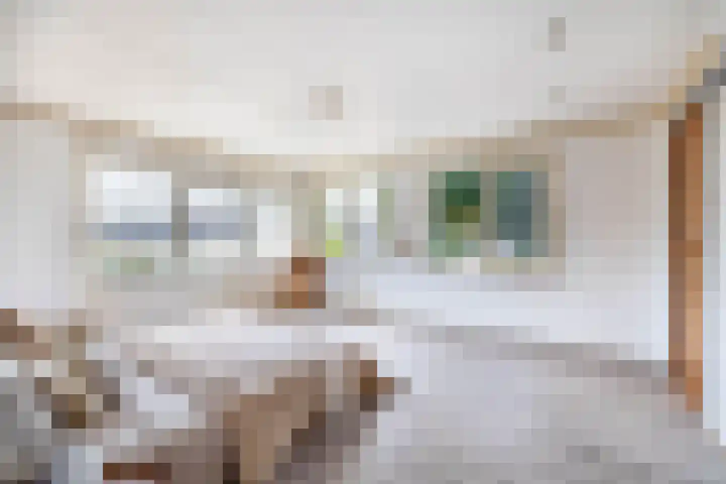 Prins Willem-Alexanderstraat 1 Pannerden thumbnail 25