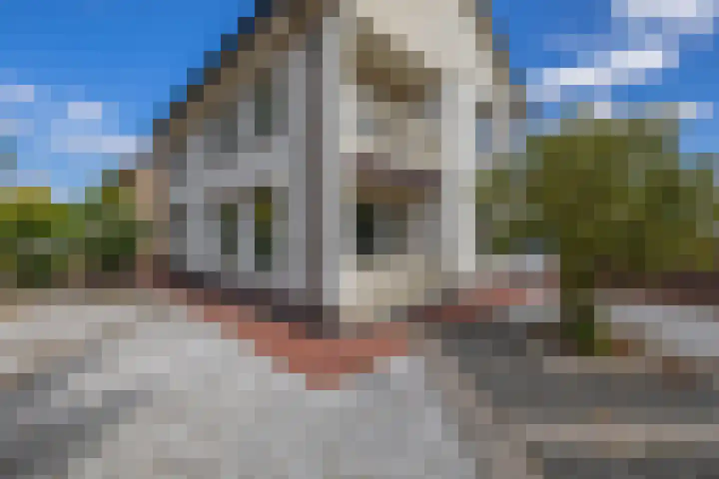 Prins Willem-Alexanderstraat 1 Pannerden thumbnail 4