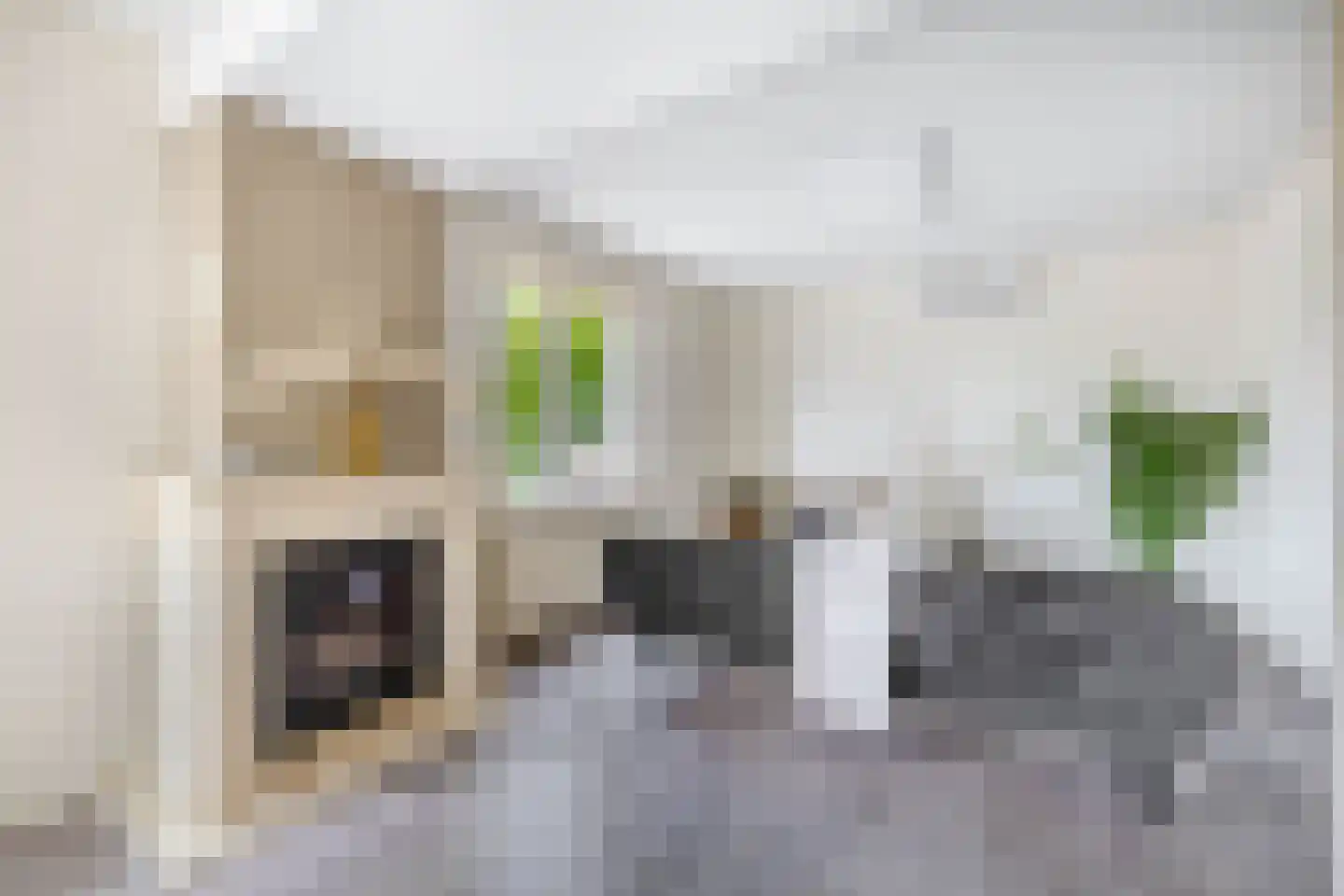 Prins Willem-Alexanderstraat 1 Pannerden thumbnail 5
