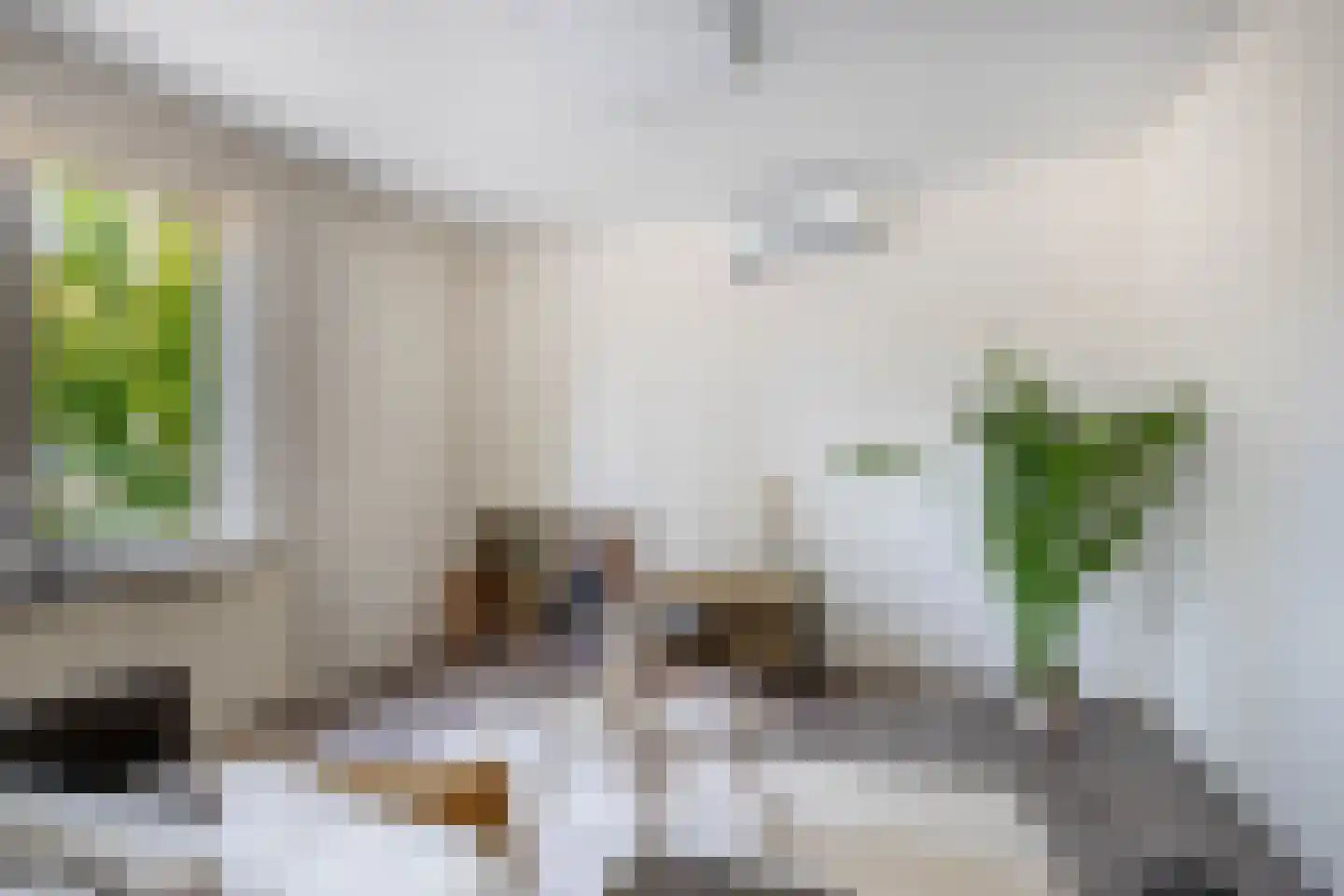 Prins Willem-Alexanderstraat 1 Pannerden thumbnail 6