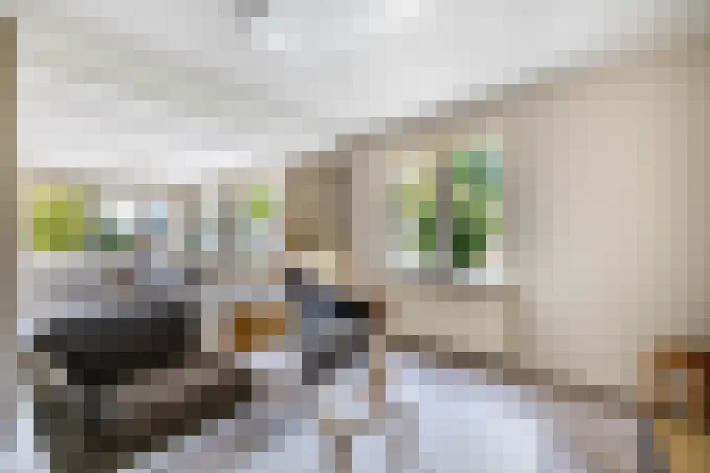 Prins Willem-Alexanderstraat 1 Pannerden thumbnail 7