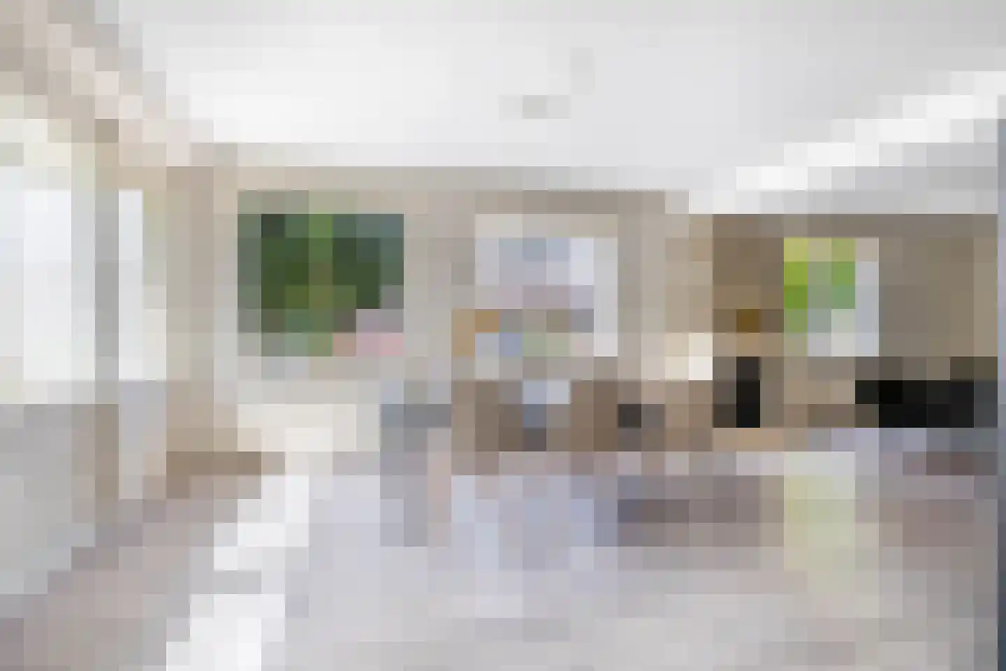 Prins Willem-Alexanderstraat 1 Pannerden thumbnail 8
