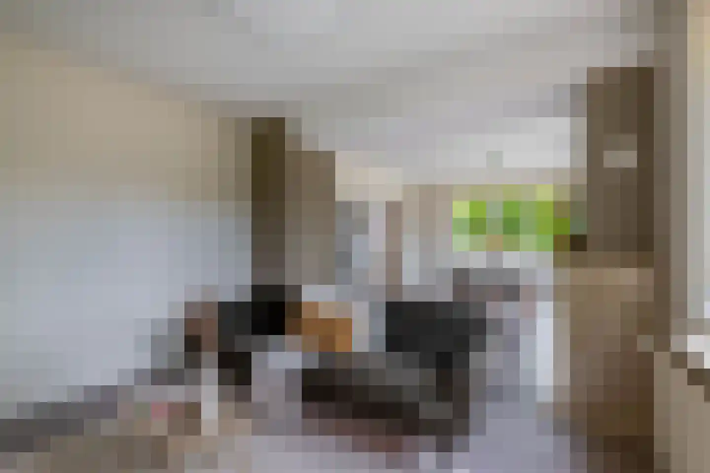 Prins Willem-Alexanderstraat 1 Pannerden thumbnail 9