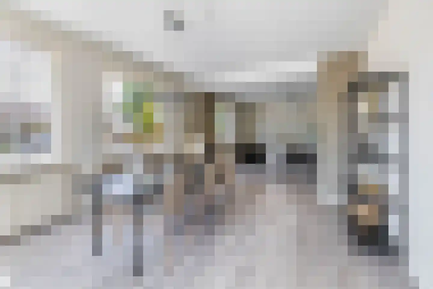 Prins Willem-Alexanderstraat 1 Pannerden thumbnail 9