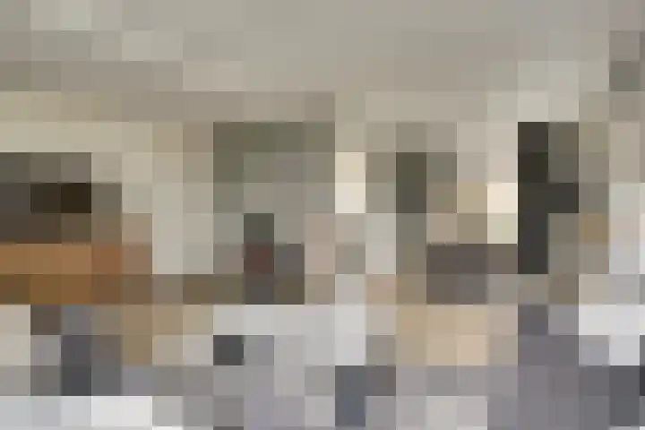 Prins Willem Alexanderstraat 10 Waardenburg thumbnail 12