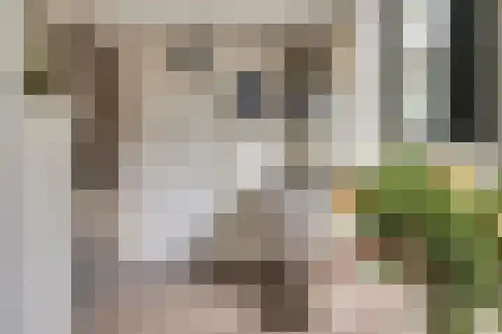 Prins Willem Alexanderstraat 10 Waardenburg thumbnail 14
