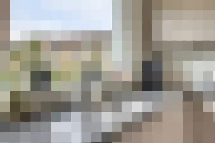 Prins Willem Alexanderstraat 10 Waardenburg thumbnail 17