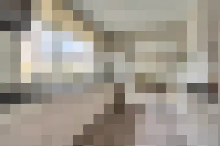 Prins Willem Alexanderstraat 10 Waardenburg thumbnail 18