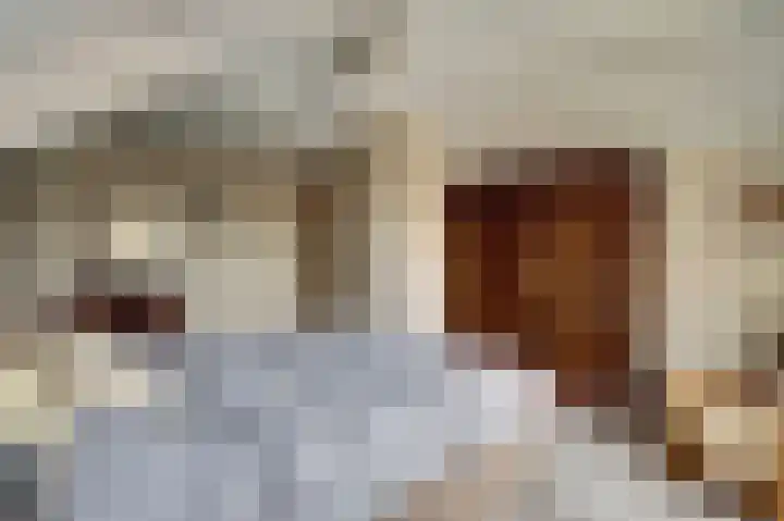 Prins Willem Alexanderstraat 10 Waardenburg thumbnail 37