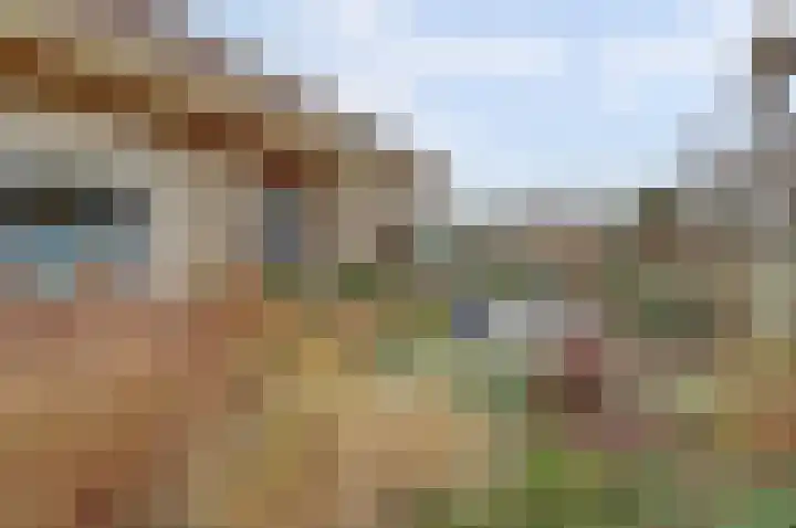 Prins Willem Alexanderstraat 10 Waardenburg thumbnail 4