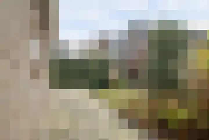 Prins Willem Alexanderstraat 10 Waardenburg thumbnail 48