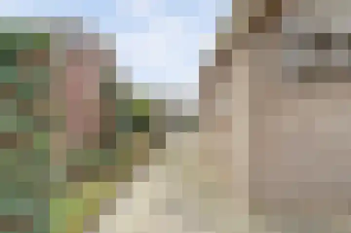 Prins Willem Alexanderstraat 10 Waardenburg thumbnail 51