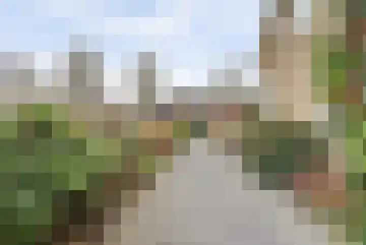 Prins Willem Alexanderstraat 10 Waardenburg thumbnail 52