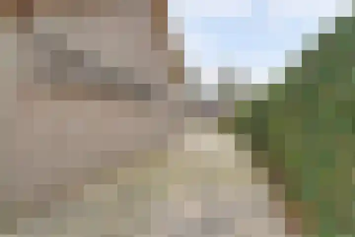 Prins Willem Alexanderstraat 10 Waardenburg thumbnail 56