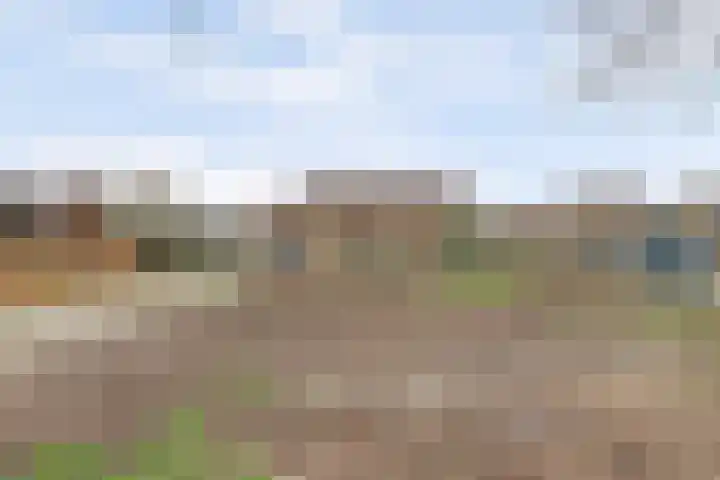 Prins Willem Alexanderstraat 10 Waardenburg thumbnail 59