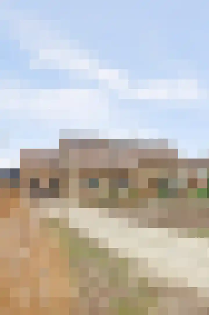 Prins Willem Alexanderstraat 10 Waardenburg thumbnail 65