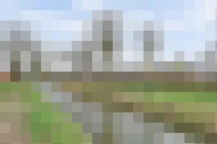 Prins Willem Alexanderstraat 10 Waardenburg thumbnail 66