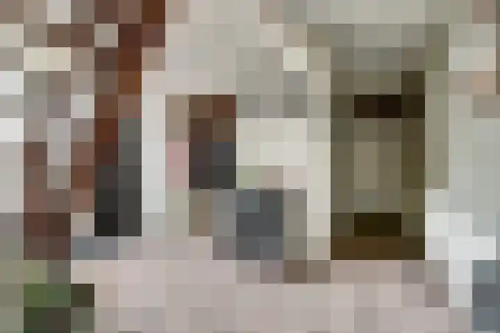Prins Willem Alexanderstraat 10 Waardenburg thumbnail 9
