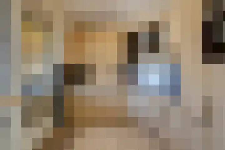 Prins Willem-Alexanderstraat 15 Pannerden thumbnail 27
