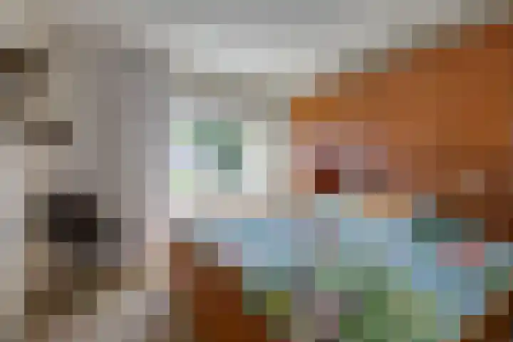 Prins Willem-Alexanderstraat 15 Pannerden thumbnail 37