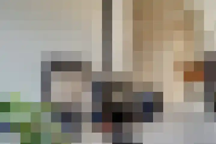 Prins Willem-Alexanderstraat 3 Heukelum thumbnail 11
