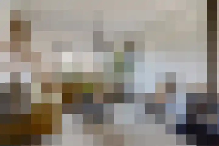 Prins Willem-Alexanderstraat 3 Heukelum thumbnail 12