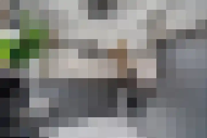 Prins Willem-Alexanderstraat 3 Heukelum thumbnail 14