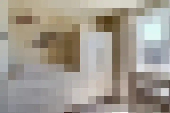 Prins Willem-Alexanderstraat 3 Heukelum thumbnail 25