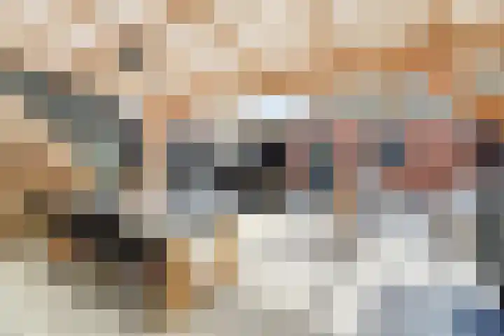 Prins Willem-Alexanderstraat 3 Heukelum thumbnail 34
