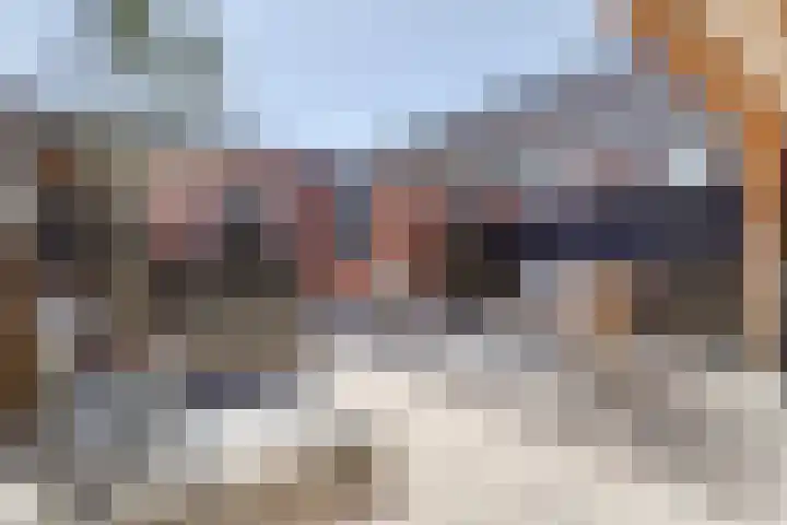 Prins Willem-Alexanderstraat 3 Heukelum thumbnail 37