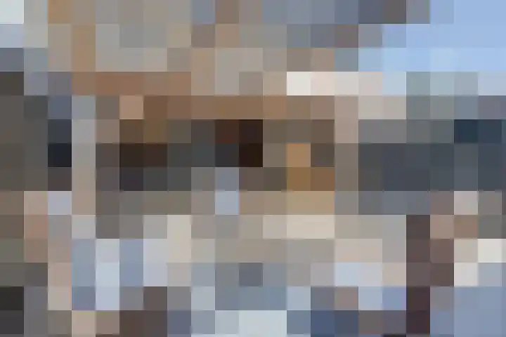Prins Willem-Alexanderstraat 3 Heukelum thumbnail 4