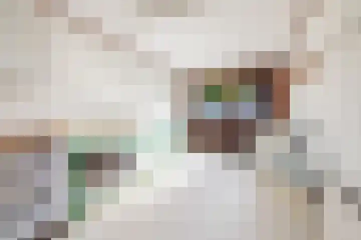Prins Willem Alexanderstraat 3 Silvolde thumbnail 21