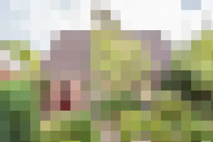 Prins Willem Alexanderstraat 3 Silvolde thumbnail 29