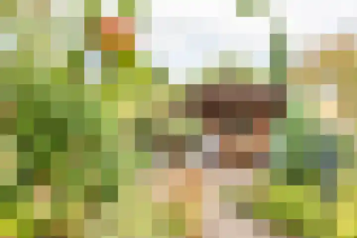 Prins Willem Alexanderstraat 3 Silvolde thumbnail 30