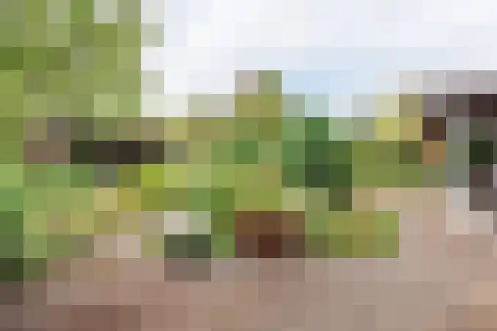 Prins Willem Alexanderstraat 3 Silvolde thumbnail 32