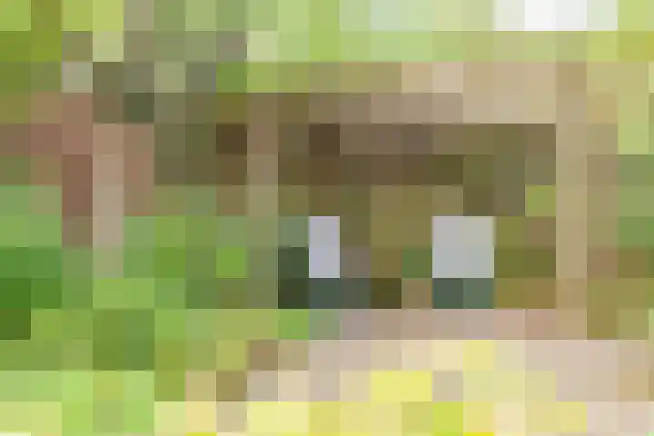Prins Willem Alexanderstraat 3 Silvolde thumbnail 33