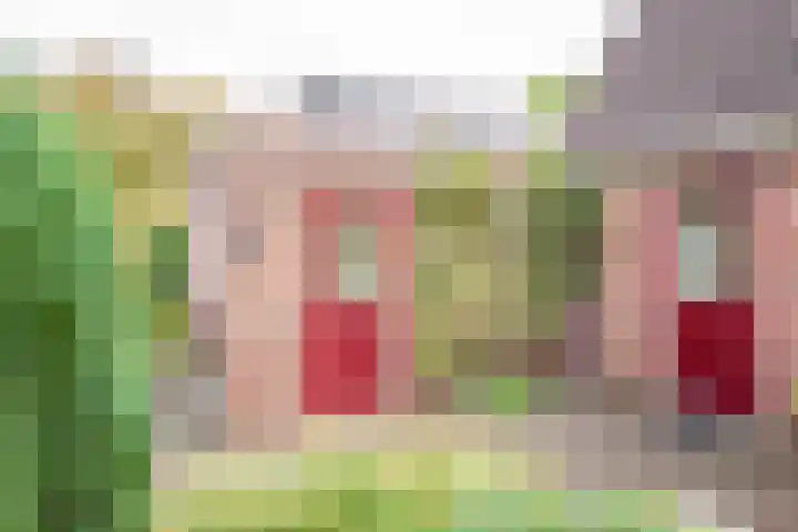 Prins Willem Alexanderstraat 3 Silvolde thumbnail 35