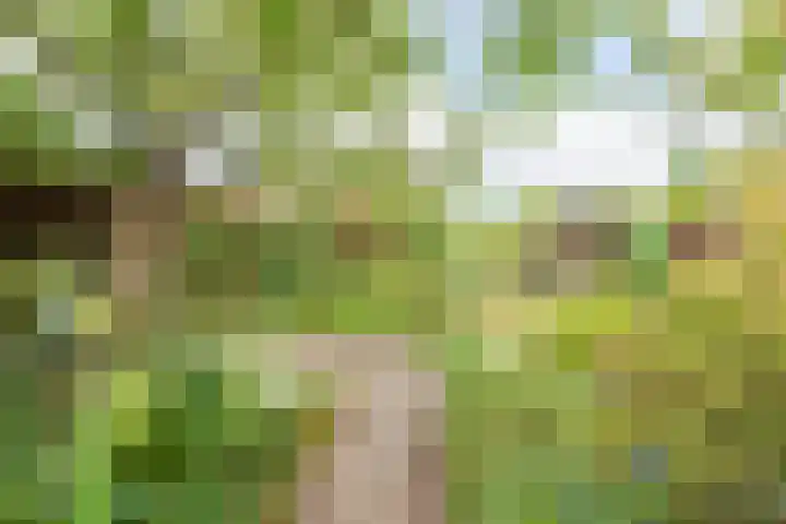Prins Willem Alexanderstraat 3 Silvolde thumbnail 4
